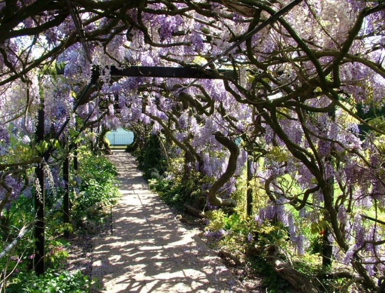 Pinces Gardens, Exeter | Explorow.com