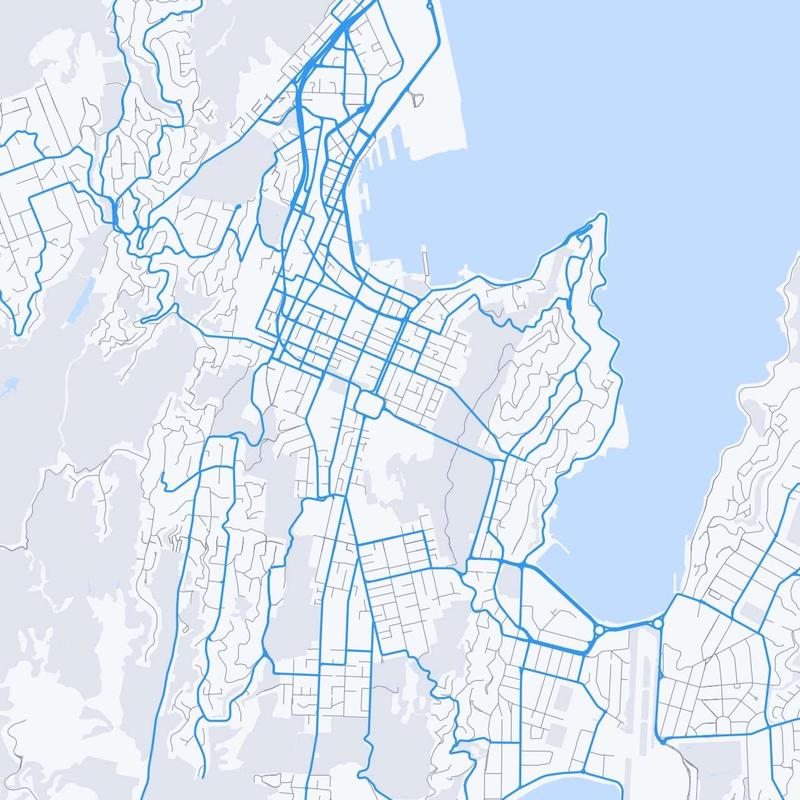 Map of Wellington