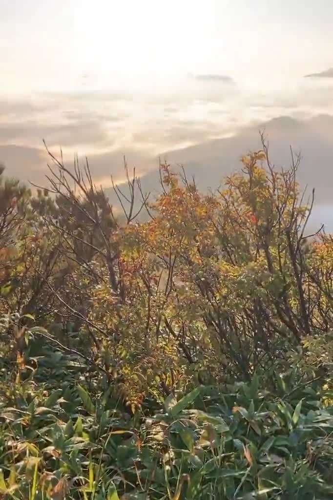place video