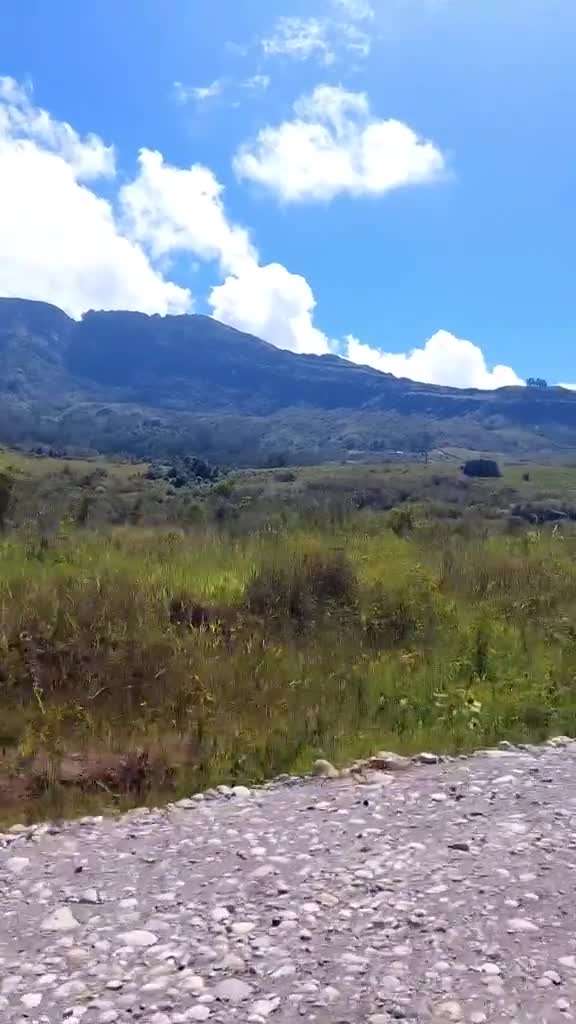 place video