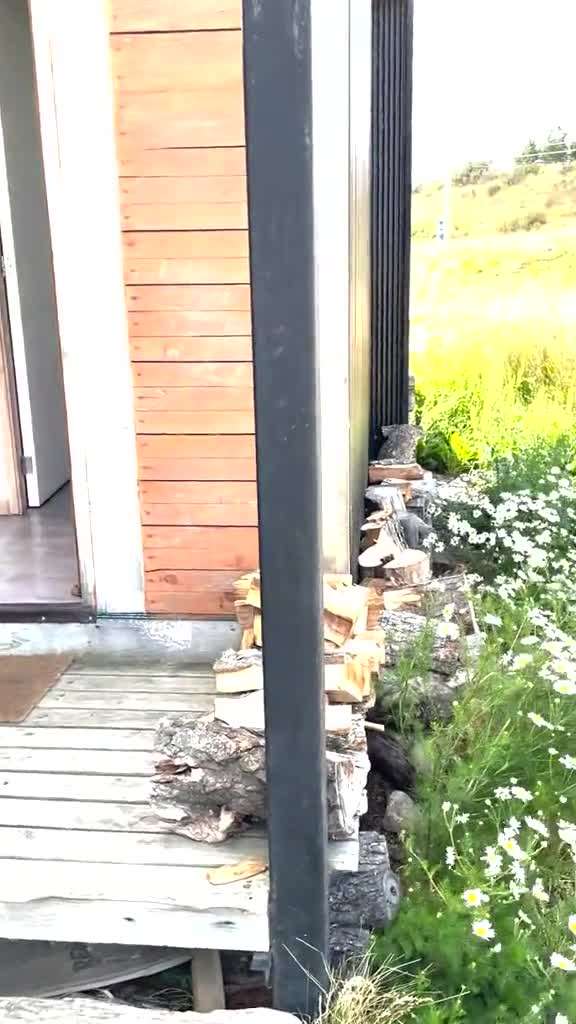 place video
