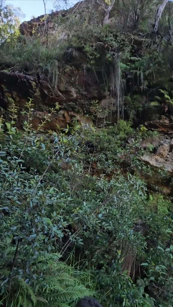 place video