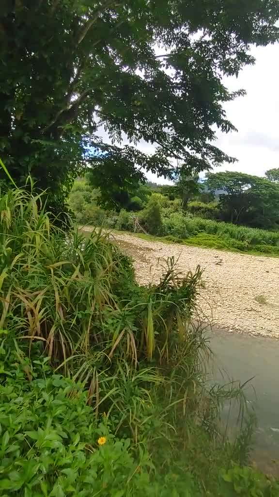 place video